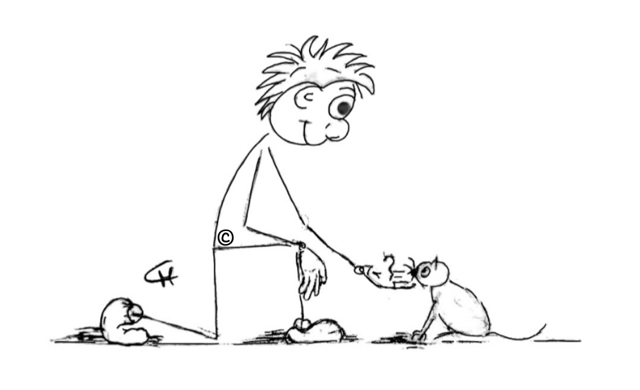 CATS & friends - Second Chance